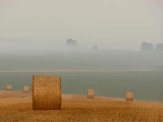 Bağ üçün torpaq, Novxanı