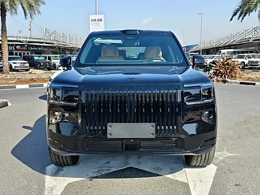 2025 Zeekr 9x